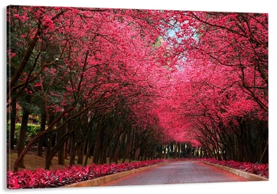 Картина на полотні Art Dekors Природа 80x160 см MLP 155
