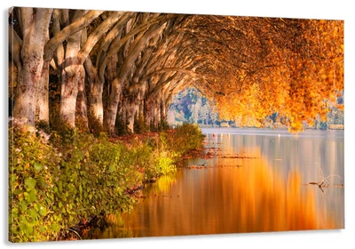 Картина на полотні Art Dekors Дерево осінь 40x80 см MLP 69