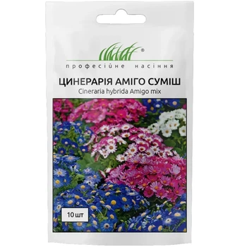 Цинерария цветущая Амиго смесь / 10 шт