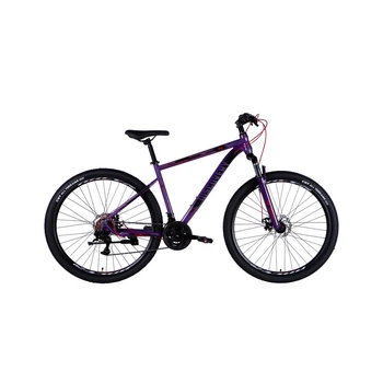 Велосипед Discovery 29 TREK DD рама-19 ST 2025 фіолетовий (OPS-SP-29-078)