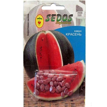 Кавун Красень 1,5 г (блістер) Sedos насіння