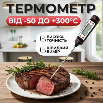 Термометр зі щупом-голкою, TP-101 4мм (150мм)