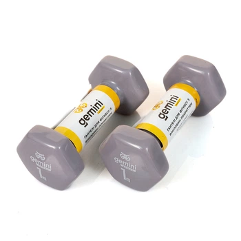 Гантели виниловые Gemini 1 кг × 2 шт серые для фитнеса и реабилитации (GSD-1.0GRAY)