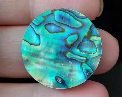 Абалон 32.25 Ct (60715)
