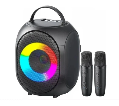 Минидинамик Bluetooth ZQS-W4107 8 Вт караоке колонка с 2 микрофонами RGB подсветка черный (6107)