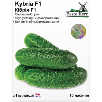 Огірок Кібрія F1, 10 насінин, партенокарпічний ультраранній гібрид, ТМ Beste Kern