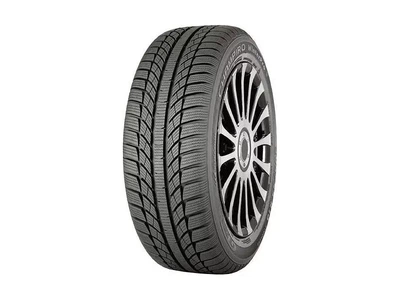GT Radial Champiro Winter Pro 205/55 R16 91H