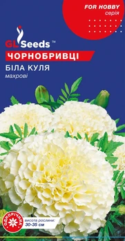 Бархатцы Белый Шар семена (0,1 г) низкие махровые, For Hobby, TM GL Seeds