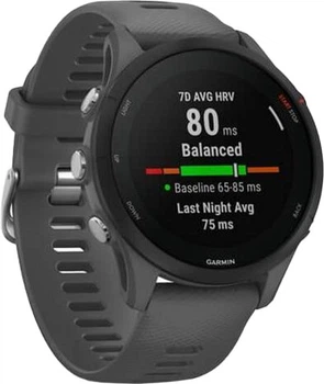 Смарт-часи Garmin Forerunner 255 Slate Gray (010-02641-00/10/43)