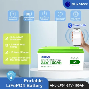 Акумуляторна батарея Anenji 2026 ANJ-24V-100AH-PX lifepo4 100A 24V 25,6V Bluetooth