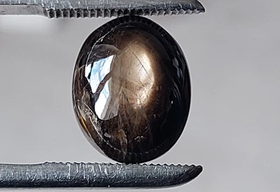 Звездчатый сапфир черный 11.58 Ct 14 х 11 х 6.4 mm (4268)