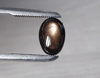 Звездчатый сапфир черный 5.63 Ct 11.6 х 8.2 х 4.8 mm (4264)