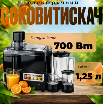 Электрическая соковыжималка 4в1 RAF 700 Вт с блендером измельчителем кофемолкой объем 1.25 л черная