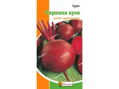 Буряк столовий ЯСКРАВА Червона куля (20 пачок) 3г