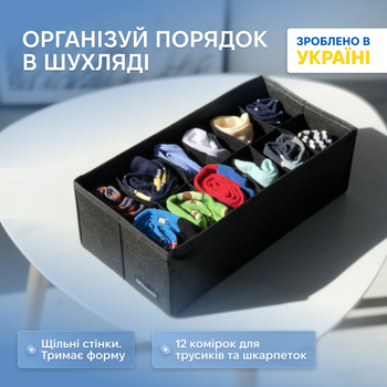 Органайзер ORGANIZE з квадратними комірками 30 х 15 см Чорний (bl-kv)