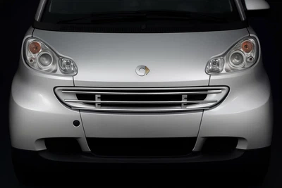 Передняя защита решетка для Smart 2007-2014 рр