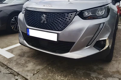Накладка на протитуманки (2 шт, нерж) для Peugeot 2008 2019- рр