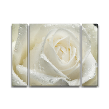 Модульная картина Декоинт Цветы 75x100см. Холст синтетический (mk20SS_fl10637)