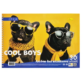 Альбом для рисования "Cool boys" АП-0309-5, 30 листов, пружина