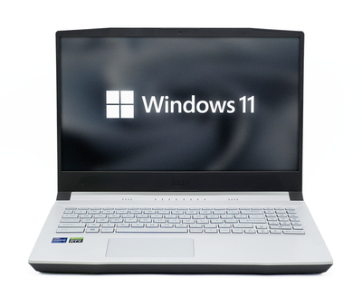 Ноутбук MSI Sword 15 A12UE / 15 IPS 1920x1080 144Гц / i7-12650H / 16GB / 480GB / NVIDIA GeForce RTX 3060 / [MSSWRD1512I7306048016IAM]