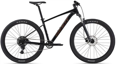 Велосипед гірський (MTB) Giant Talon 2 29 2024 Silver