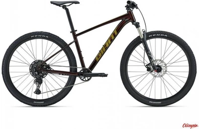 Велосипед гірський (MTB) Giant Talon 1 29 29 2024 Cold Iron