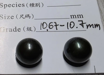 Жемчуг 10.7 mm пара не просверлена (95412)