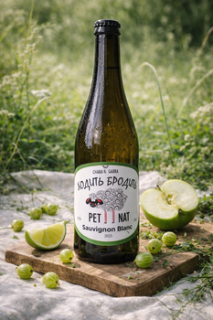 Вино Chara & Garra Sauvignon Blanc Pet-Nat столове сухе 0.75 л