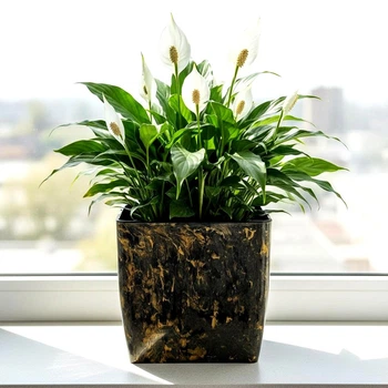 Вазон квадратный 16×16×15,5 см 2,7 л черный агат Stone Алеана