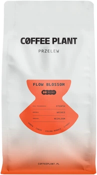 Кава в зернах Coffee Plant Flow Blossom Filter 800 г (5904800242149)