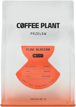 Кава в зернах Coffee Plant Flow Blossom Filter 250 г (5904800242132)