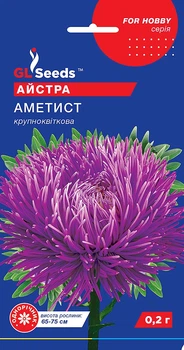 Айстра "Аметист" ТМ "GL Seeds" 0,2 г.