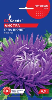 Астра Гала Віолет 0,3 р.