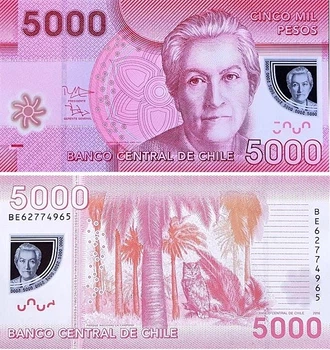 Банкнота 5000 песо Чилі 2016 рік полімерна UNC