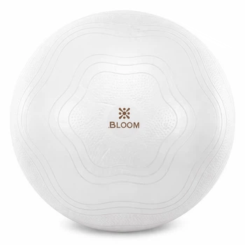 Мяч для фитнеса фитбол гладкий с насосом Bloom Yoga Ball 7051-65 диаметр 65см White