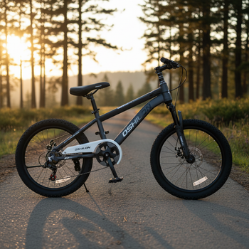 Велосипед горный Toprider TOP 01 колеса 20" рама 12" Черный детский