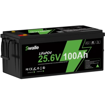 Аккумулятор SWALLE LiFePO4 24V 100AH 2560Wh BMS Bluetooth