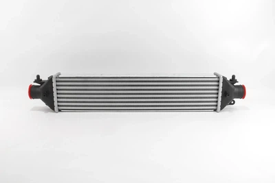 Радіатор інтеркулера Fiat Doblo 1.4/1.3D 10- GOODREM RH0215 Fiat Doblo, Ducato, Grande Punto; Opel Combo; Suzuki SX4; Alfa Romeo Giulietta 51783791, 1302225, 51833106