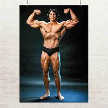 Постер Арнольд Шварценеггер, Мистер Олимпия, Arnold Schwarzenegger, бодибилдер, A3 42×30 см (id1920)