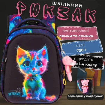Рюкзак школьный Кот разноцветный SkyName