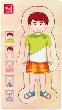 Układanka drewniana Small Foot Anatomy Boy warstwowa 29 elementów 5842 (4020972058423)