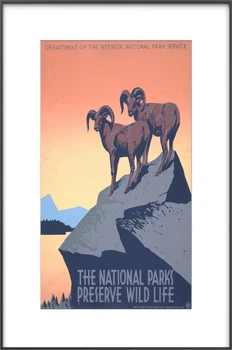 Електронний постер InkPoster Affresco 31.5" Вlack (PB3150P1-WW)