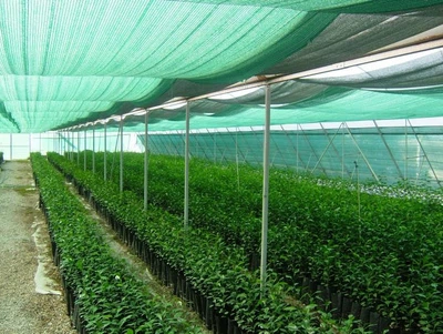 Затеняющая сетка Growtex для забора 110 г/м*2 м х 50 м Зеленая
