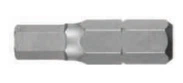 Біта Whirlpower шестигранний HX 10 x 25 мм 6 шт (4714102549539)