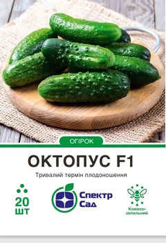 Насіння огірка Октопус F1 20шт