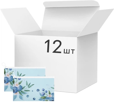 Набор папок-конвертов Buromax Arabeski DL на ZIP-молнии 12 шт (BM.3949-17)