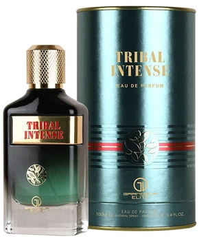 Парфумована вода для чоловіків Grandeur Tribal Intense 100 мл (5055810035907)