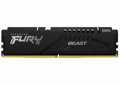 Модуль памяти Kingston Fury DDR5 8GB 5200MHz Beast Black (KF552C40BB-8)