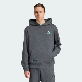 Мужское худи Mercedes - AMG Petronas Formula One Team adidas JX8778 (2XL) серый (4068805331220)