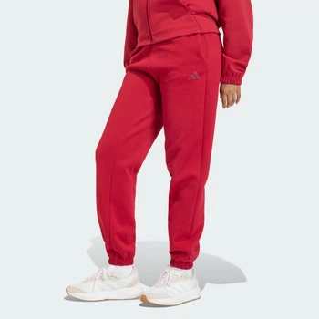 Женские брюки Future Icons Small Logo adidas KD7716 (XS) Бордовый (4068815322058)